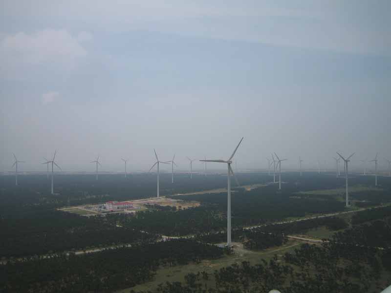 //qzhynz.com/UploadFile/20101115015132965.jpg